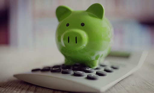 green pig on calculator